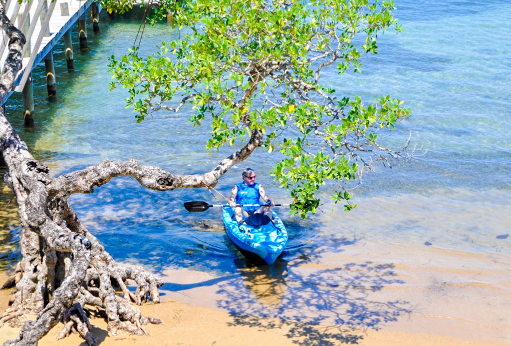 Kayak beach landing in the shade of a Mangrove Tree at <a href="http://www.tranquilseas.com"><u>TranquilSeas</u></a>.<br>