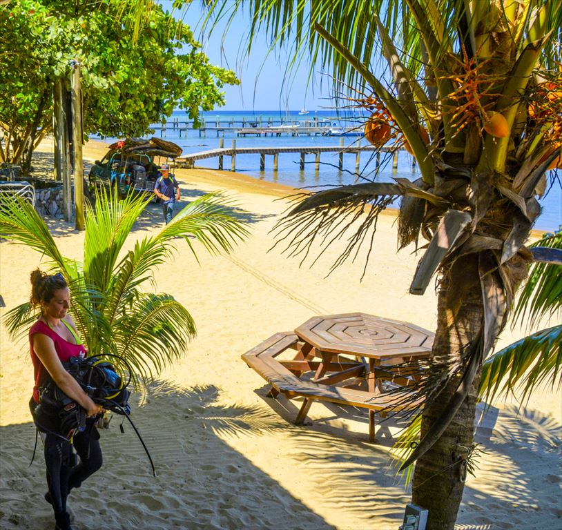 As viewed from the <a href="http://beachgrillroatan.com/" title="Beach Grill Roatan">Beach Grill Roatan</a>.